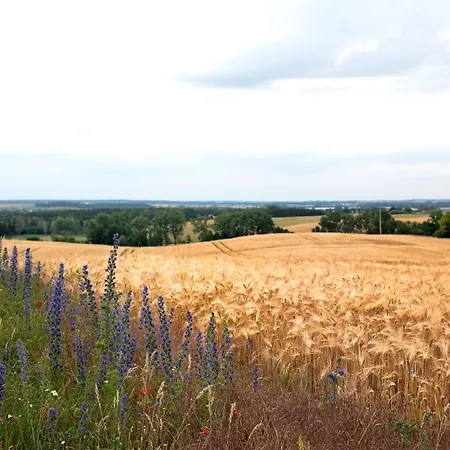 Haus Meistereck 公寓 *