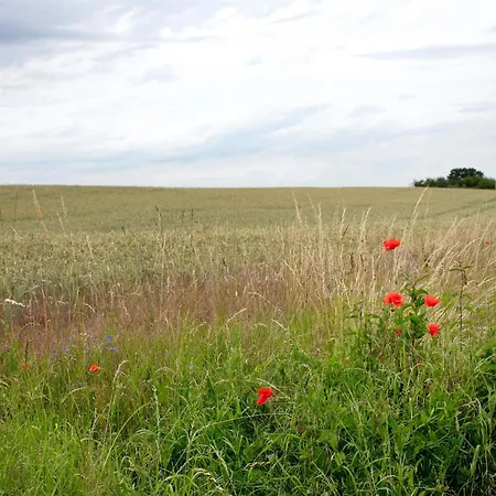 Haus Meistereck * Melzow