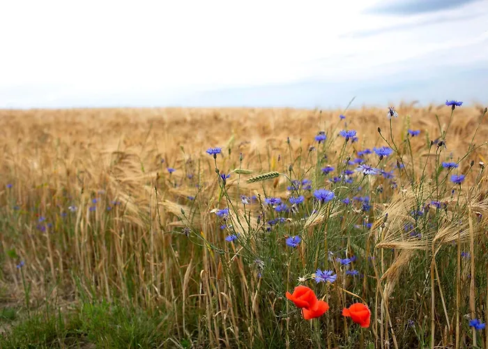 Haus Meistereck Apartamento Melzow