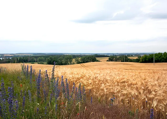 Haus Meistereck Apartamento *