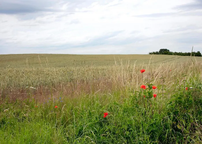 Haus Meistereck * Melzow